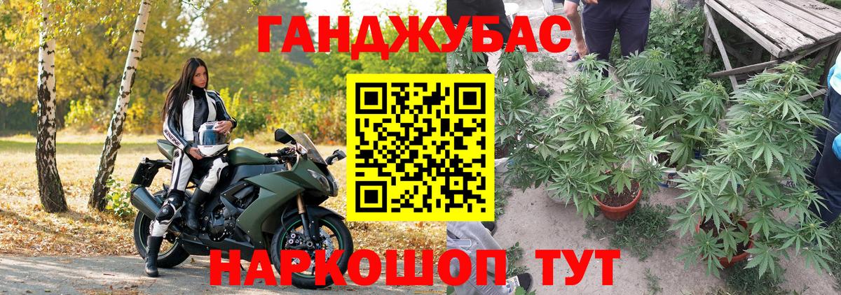 Каннабис план Дятьково